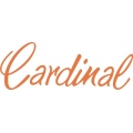 Cessna Cardinal Aircraft Decal,Logo 4 1/4''h x 10''w!